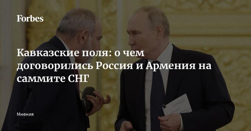 Кавказские равнины: итоги соглашений между Россией и Арменией на встрече стран СНГ