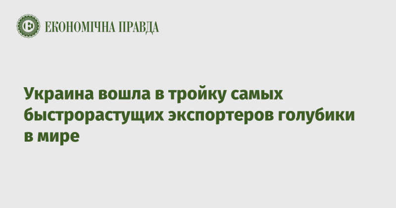 Украина стала одним из трёх ведущих стран по темпам роста экспорта голубики на глобальном уровне.