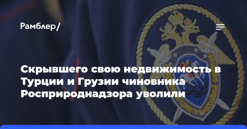 Чиновника Росприроднадзора, который concealed his real estate in Turkey and Georgia, was dismissed.