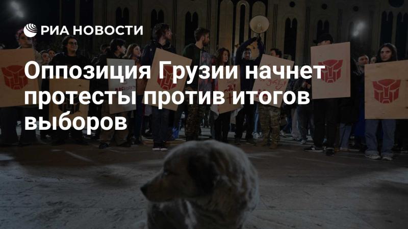 Грузинская оппозиция планирует организовать акции протеста в связи с результатами выборов.