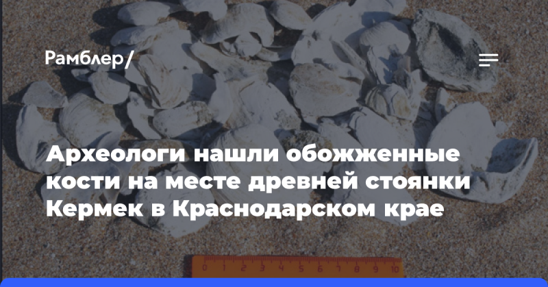 Археологи обнаружили обожженные останки на территории древнего поселения Кермек, расположенного в Краснодарском крае.