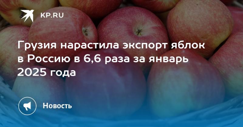 В январе 2025 года Грузия увеличила поставки яблок в Россию в 6,6 раза.