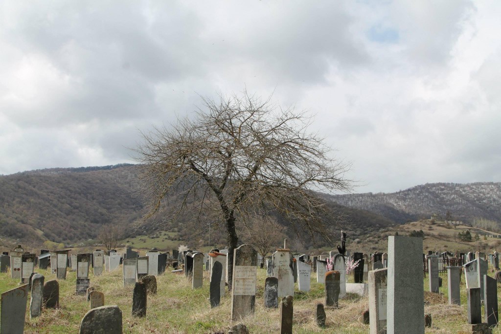 Кладбище в селе Дуиси. Панкисское ущелье Грузии (фото: sova.news)