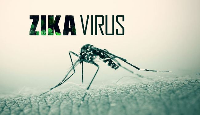 Грузия в списке стран подверженных риску распространения вируса Зика