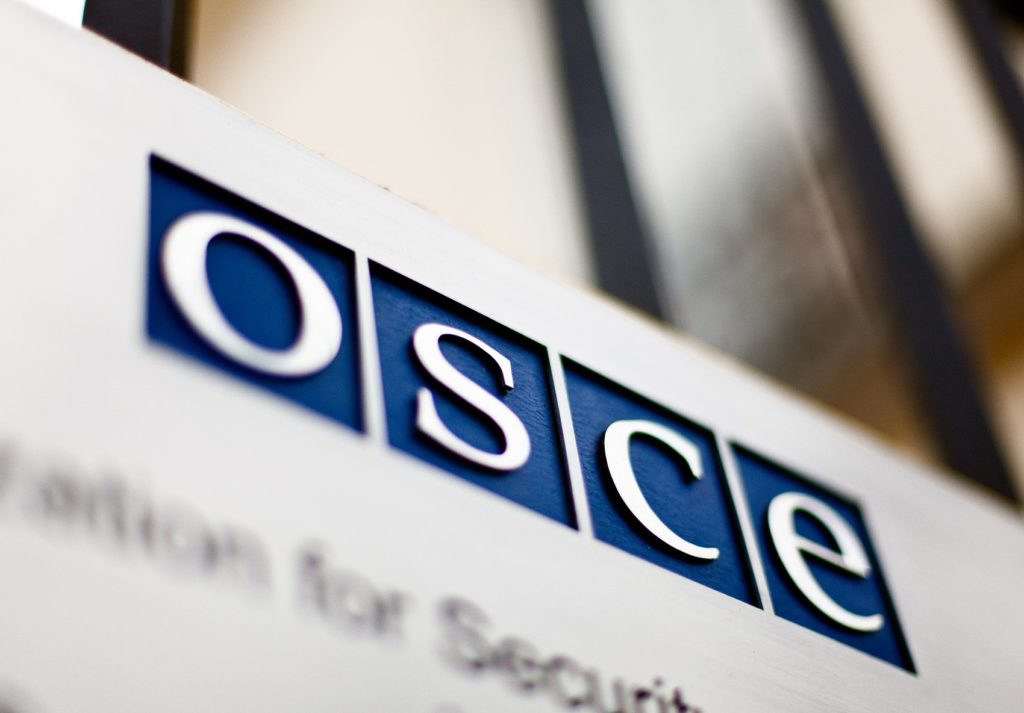 Делегация России примет участие в летней сессии ПА ОБСЕ в Тбилиси