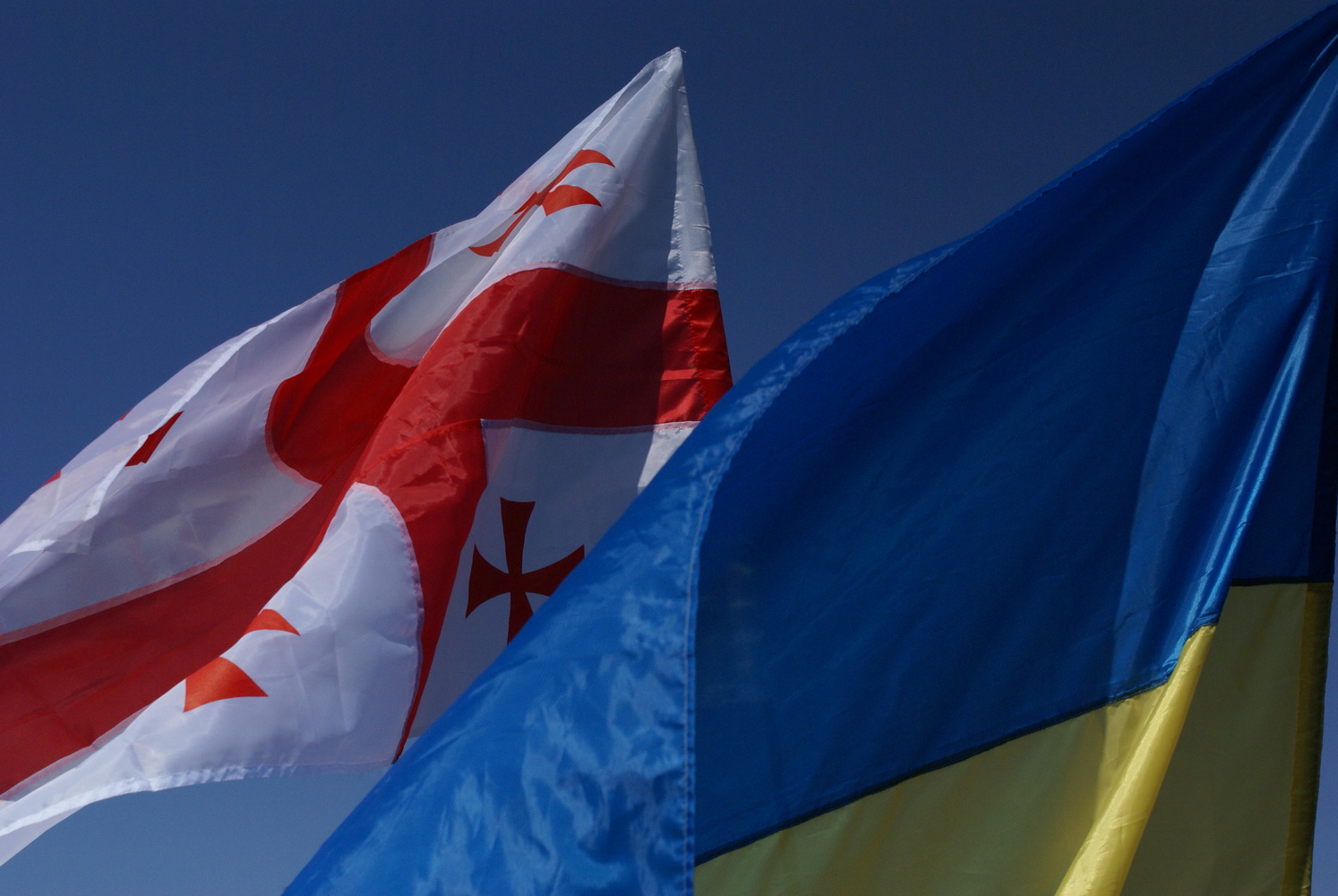 Таможенные службы Грузии и Украины развивают сотрудничество