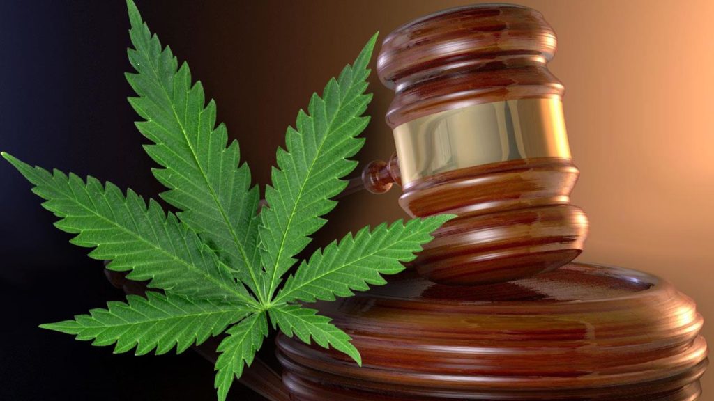 В Грузии повторное употребление марихуаны не будет караться лишением свободы
