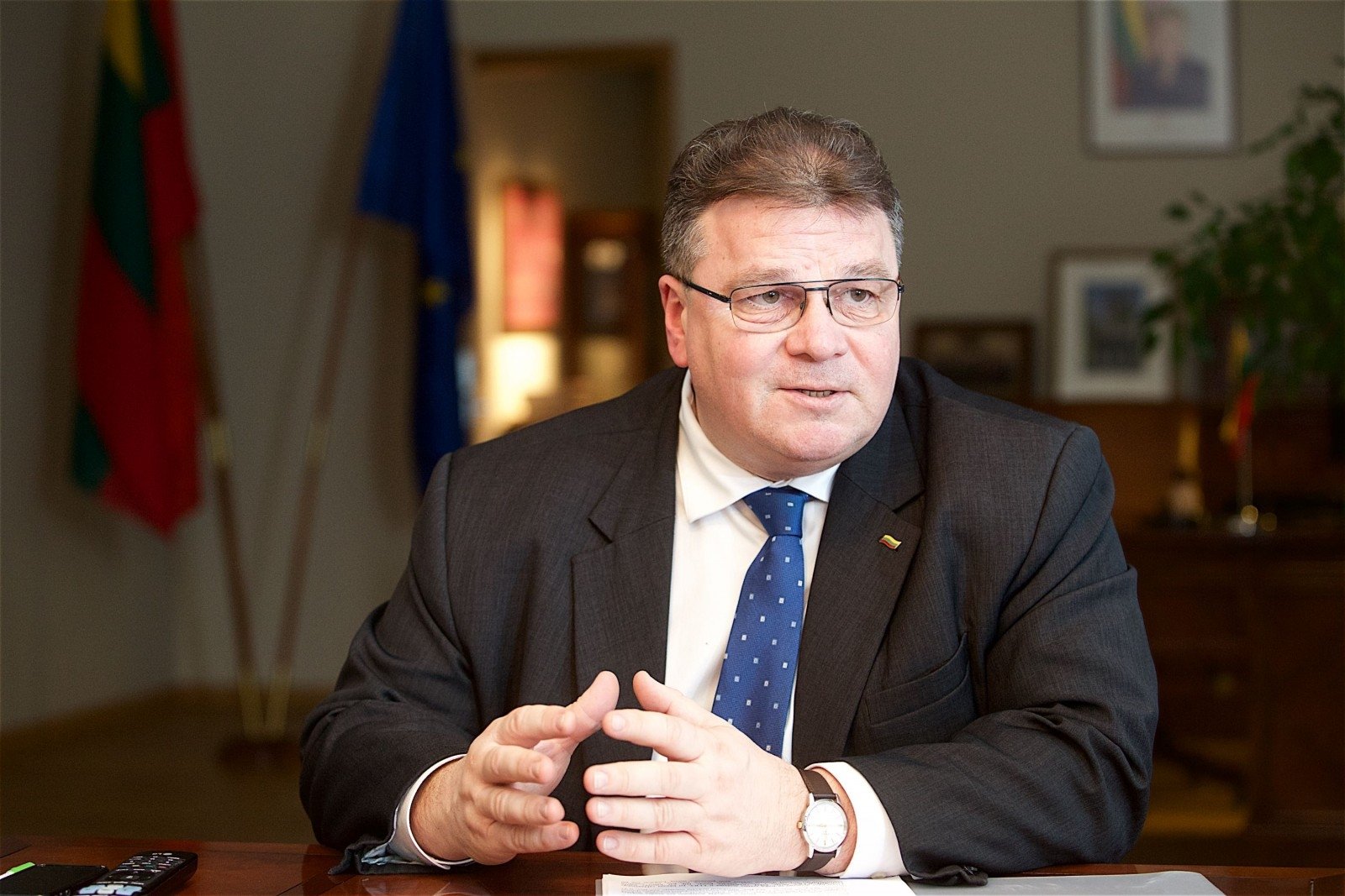 Глава МИД Литвы: Грузия заслуживает либерализации визового режима