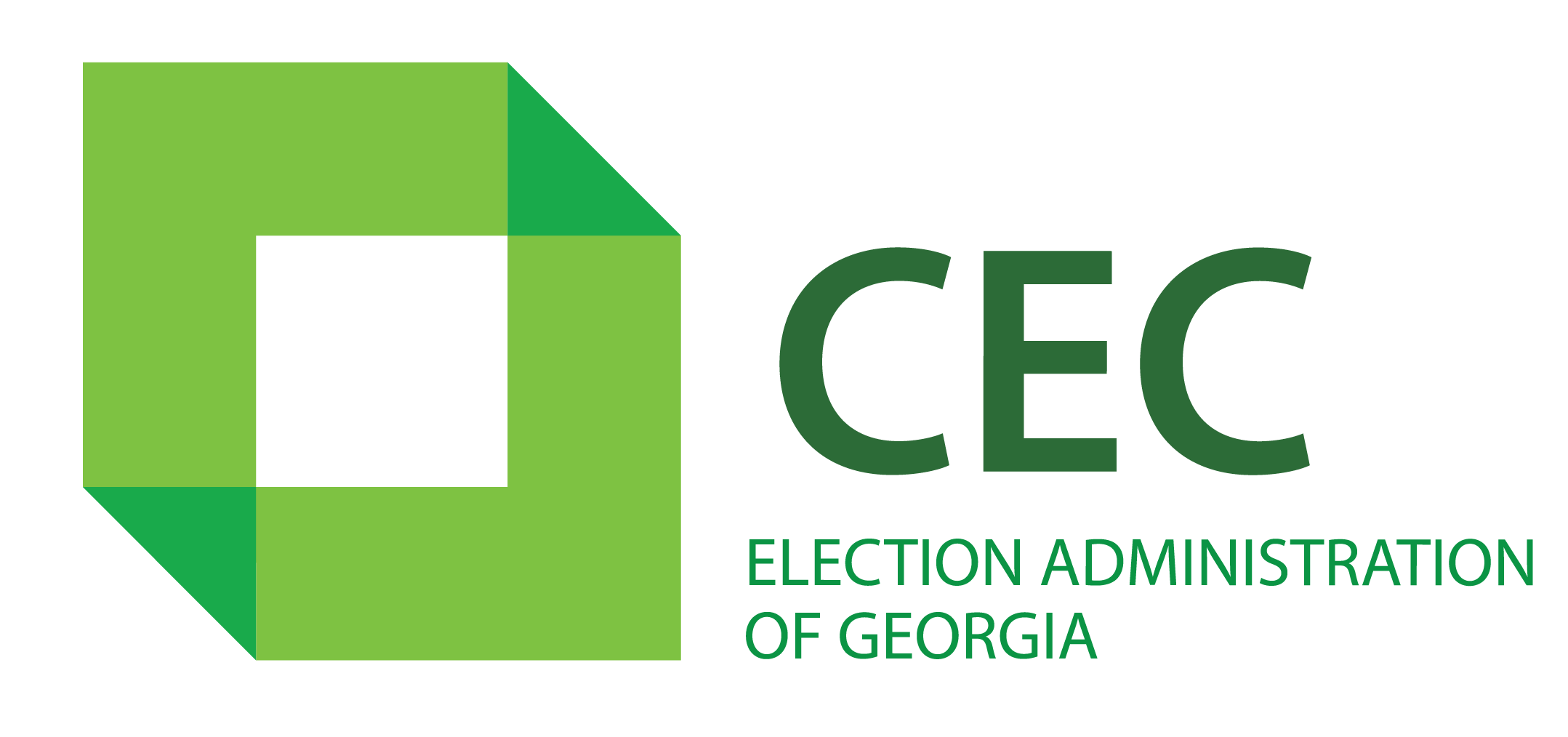 ЦИК Грузии опубликовал предварительные результаты повторного голосования