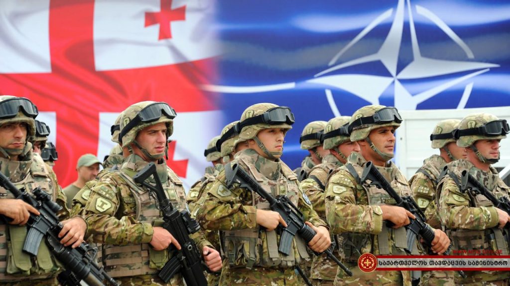 Советник президента Грузии: интеграция в НАТО усилит безопасность восточного фланга