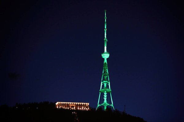 Тбилиси участвует во всемирной кампании "Global Greening"