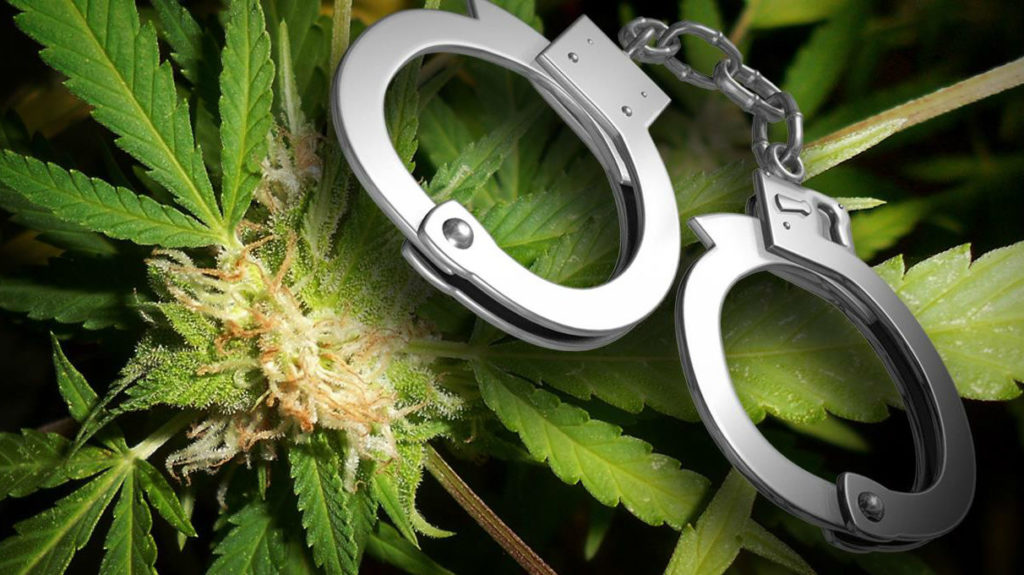 marijuana arrest handcuffs новости Гурам Имнадзе, наркополитика, Яго Хвичия