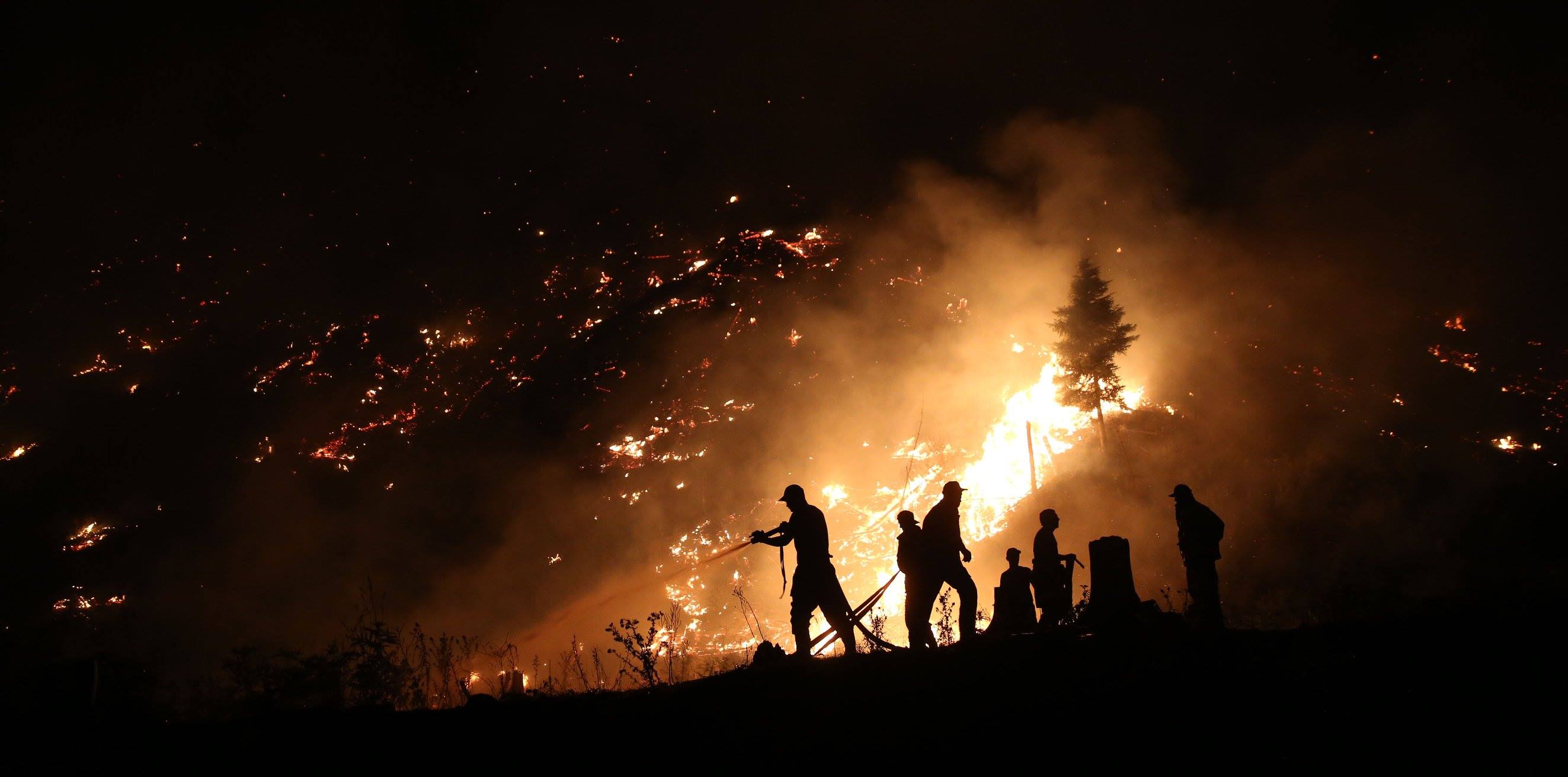 Масштабный пожар в Грузии: хроника событий