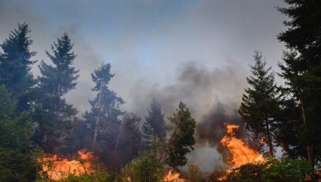 Сводка о пожарах на территории Грузии