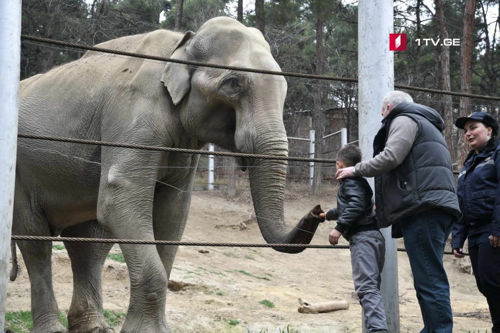 Zoo 4 новости Грузия, зоопарк, полиция, тбилиси
