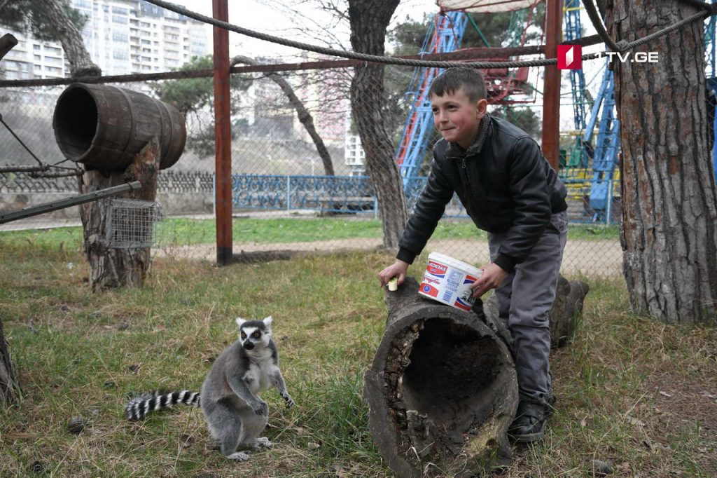 Zoo 7 новости Грузия, зоопарк, полиция, тбилиси