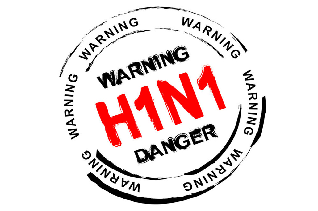 H1N1 свиной грипп свиной грипп