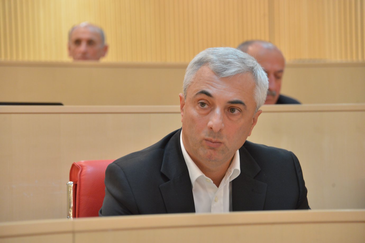 Koba Narchemashvili парламентское большинство парламентское большинство
