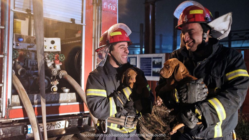 53894597 2009478406023048 3943736913621417984 o новости Грузия, Диди Дигоми, пожар, пожарные, собаки, спасатели, тбилиси