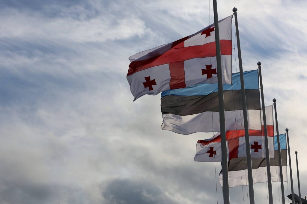 Georgia Estonia Flags новости задержание Ники Мелия, кризис Мечты, Латвия, Литва, Эстония