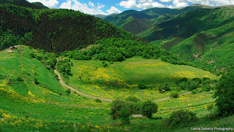 В Грузии появится новый Национальный парк Эрушети