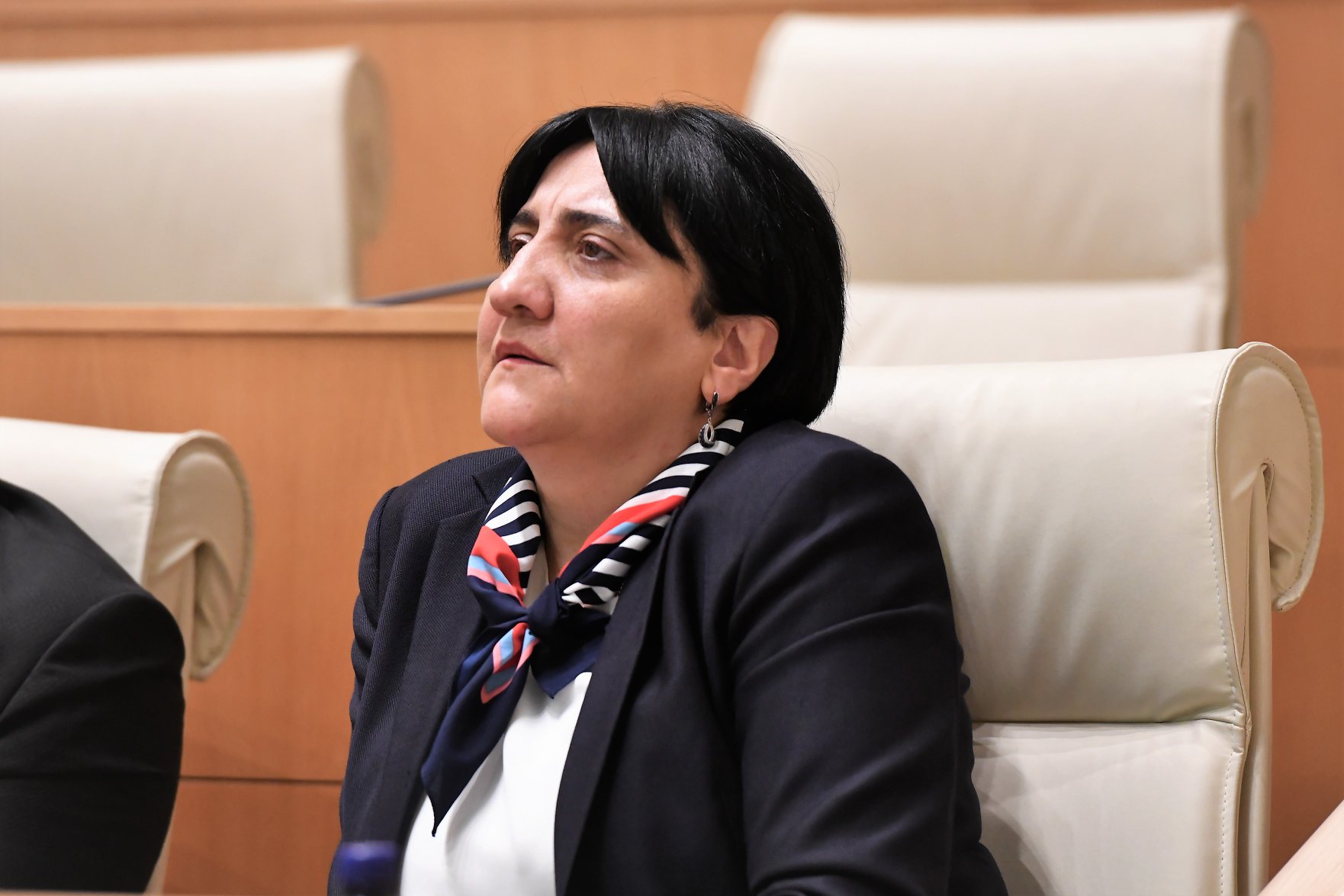 Irma Inashvili 7 бойкот парламента бойкот парламента