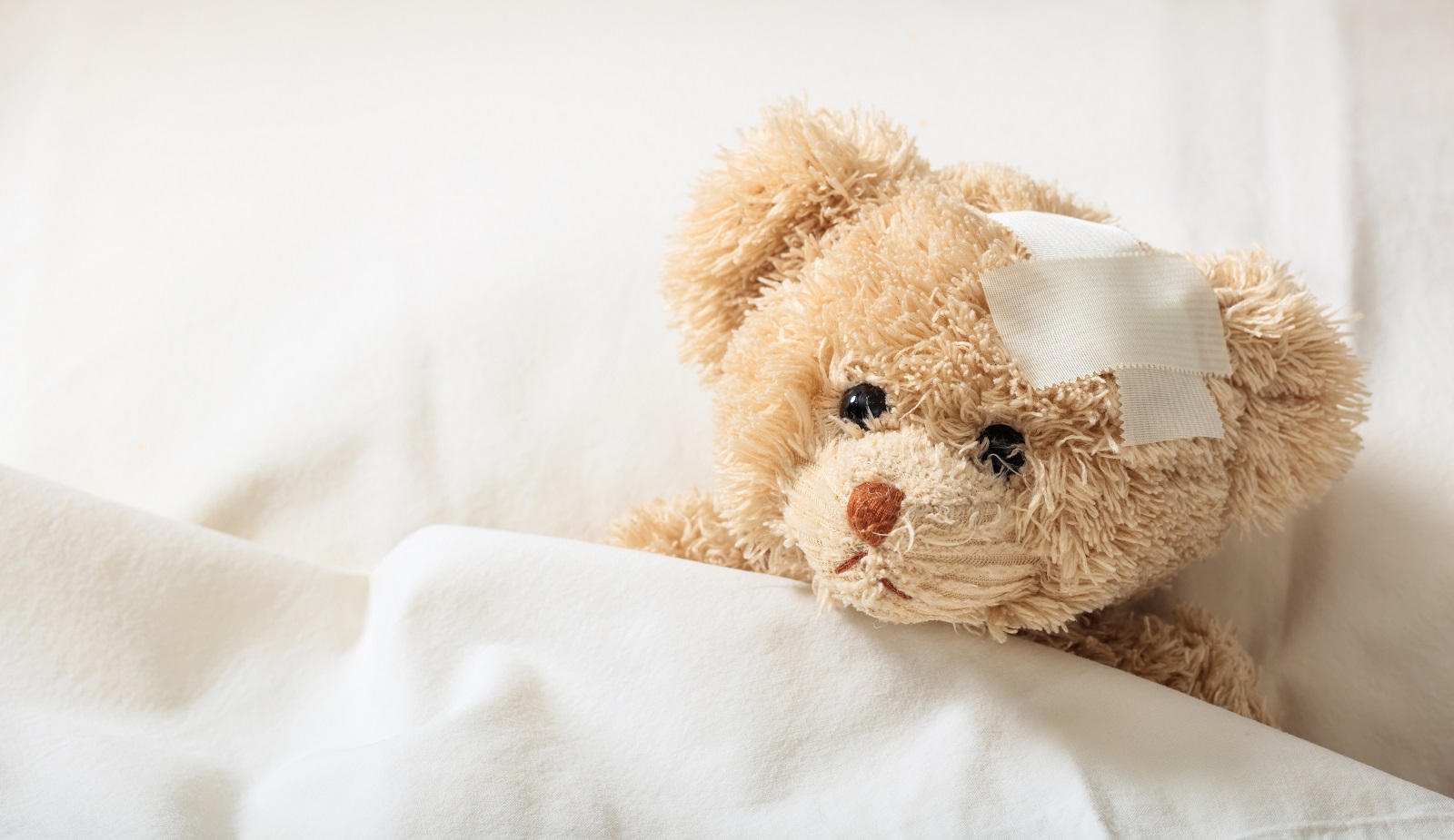 teddy bear sick in the hospital P7GFMWP насилие насилие