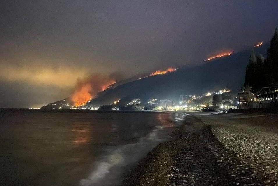 1610050657 136923977 10208696832933727 7191335238359446493 n новости Абхазия, лесные пожары