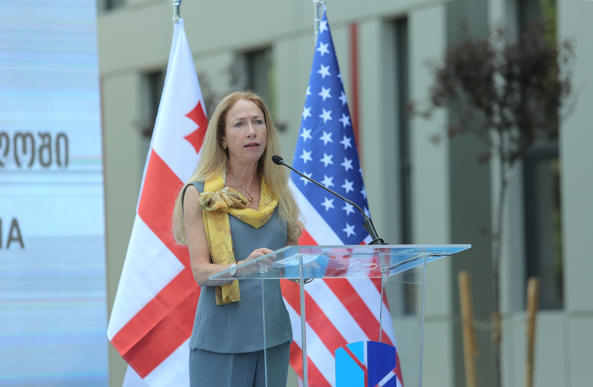 Kelly Degnan 43 #новости Грузия-США, Келли Дэгнан, посол США