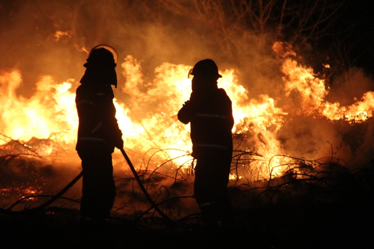 emergency management ge новости лесной пожар, муниципалитет Цаленджиха, Служба по управлению чрезвычайными ситуациями
