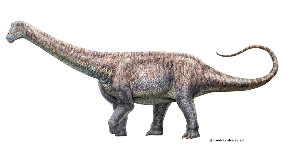 fb image 677 динозавры динозавры