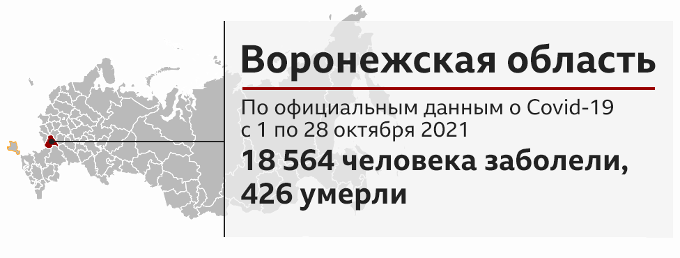 Данные по заболеванию ковидом, Воронежская область