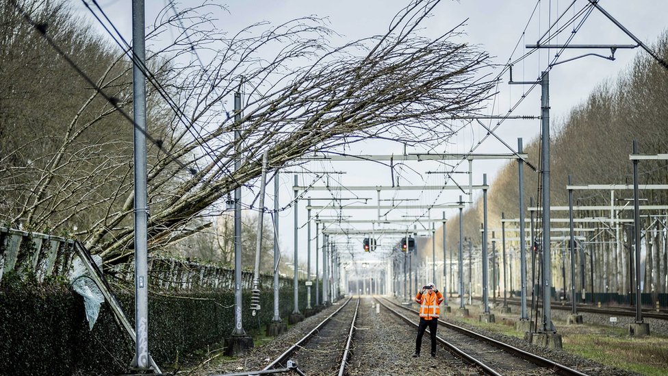 Дерево, упавшее на провода над железной дорогой в Нидерландах