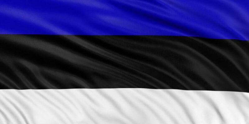 estonia flag новости война в Украине, Эстония