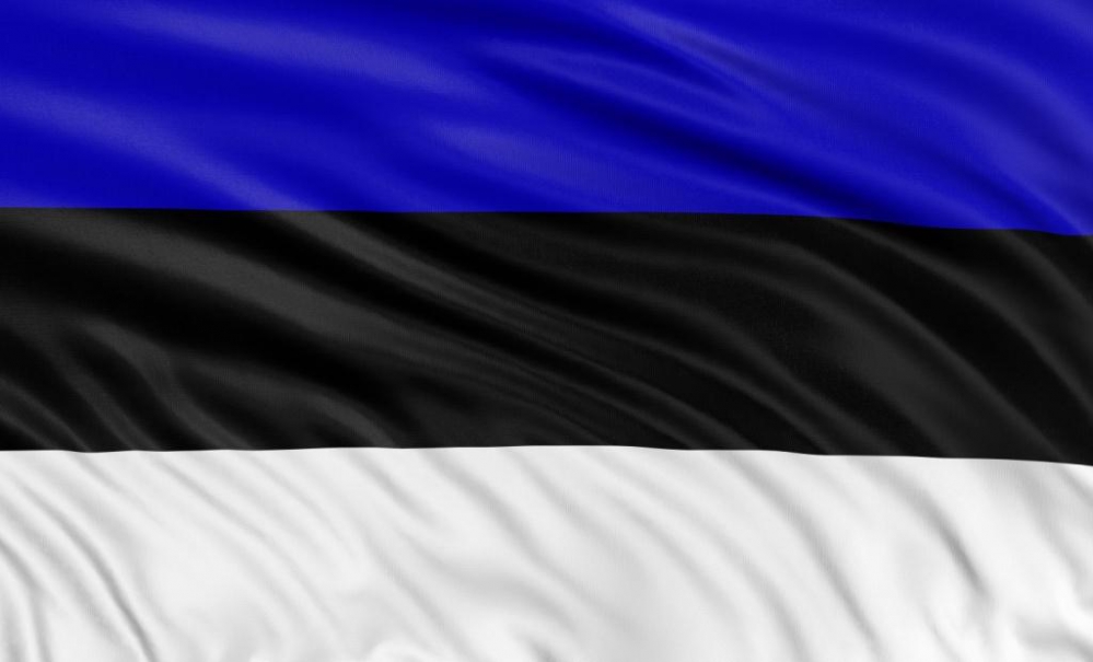 estonia flag новости война в Украине, Руслан Стефанчук, Эстония