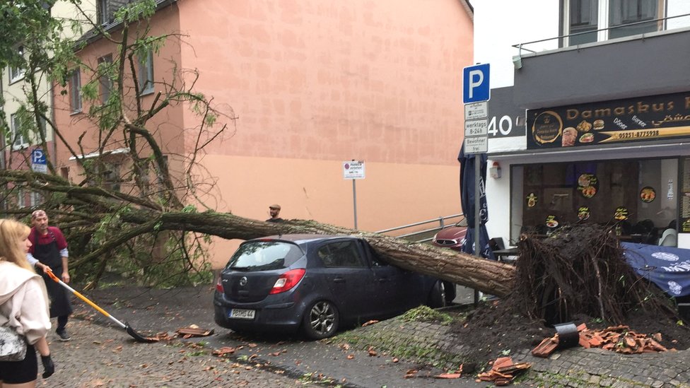 A fallen tree on a car in the aftermath of a suspected tornado in Paderborn