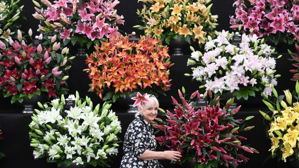 Выставка цветов в Челси