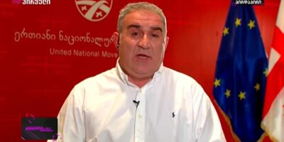 nugzar tsiklauri политика "Единое национальное движение", Грузия-ЕС, Нугзар Циклаури