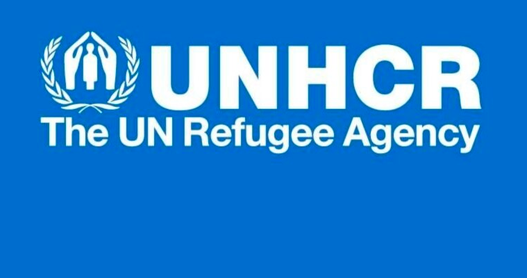 screenshot 2022 07 27 at 14.35.45 новости UNHCR, война в Украине, Грузия-Украина