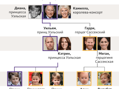 126665007 royal family tree succession 10.09 2x nc Елизавета Вторая Елизавета Вторая