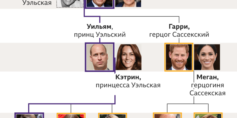 126665007 royal family tree succession 10.09 2x nc Новости BBC Великобритания, Елизавета Вторая, Карл III