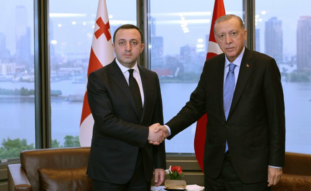 gharibashvili erdogan новости Грузия-Турция, Ираклий Гарибашвили, Реджеп Тайип Эрдоган