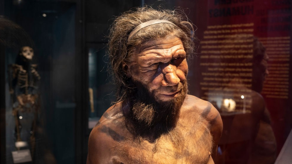 Репродукция неандертальского мужчины на выставке Музея естественной истории в Лондоне, апрель 2022