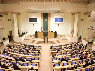 georgian parliament 78678 рекомендации рекомендации