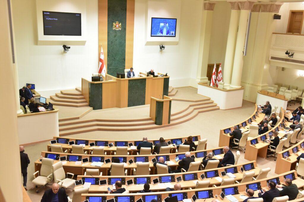 georgian parliament 7869 новости закон о вещании, парламент Грузии, поправки, Саломе Самадашвили