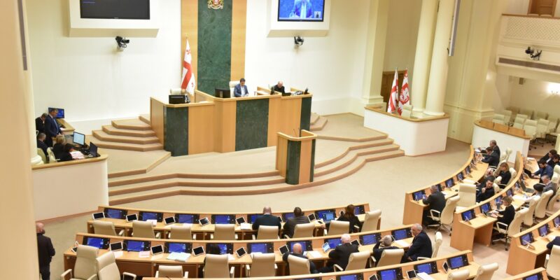 georgian parliament 7869 новости закон о вещании, парламент Грузии, поправки, Саломе Самадашвили