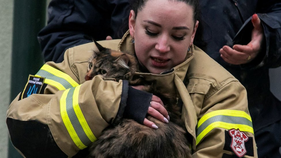 спасатель с кошкой