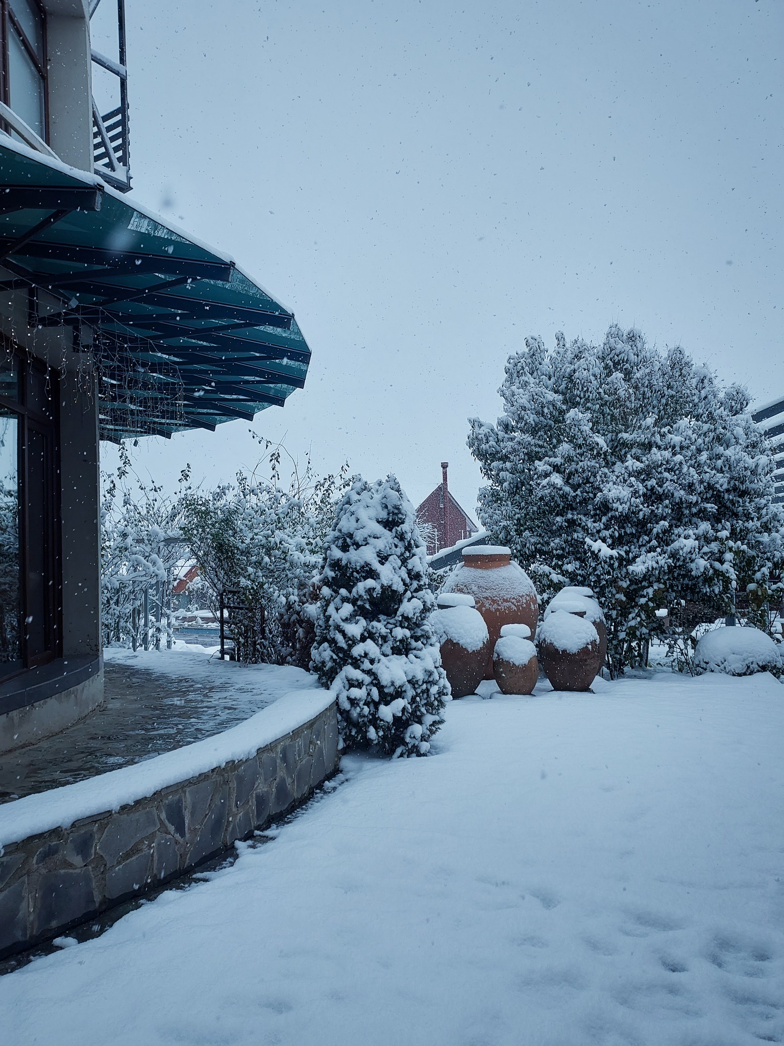 323159780 1777513862619520 6440584457859678722 n Другая SOVA featured, погода в Грузии, снег, снегопад, тбилиси