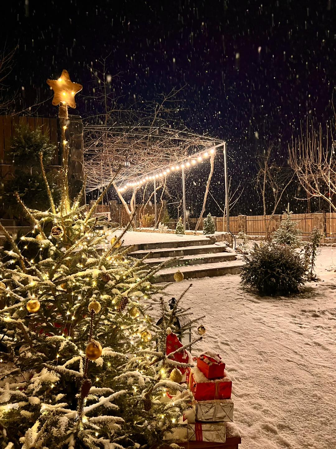 323558698 447246694145224 375014845266245193 n Другая SOVA featured, погода в Грузии, снег, снегопад, тбилиси