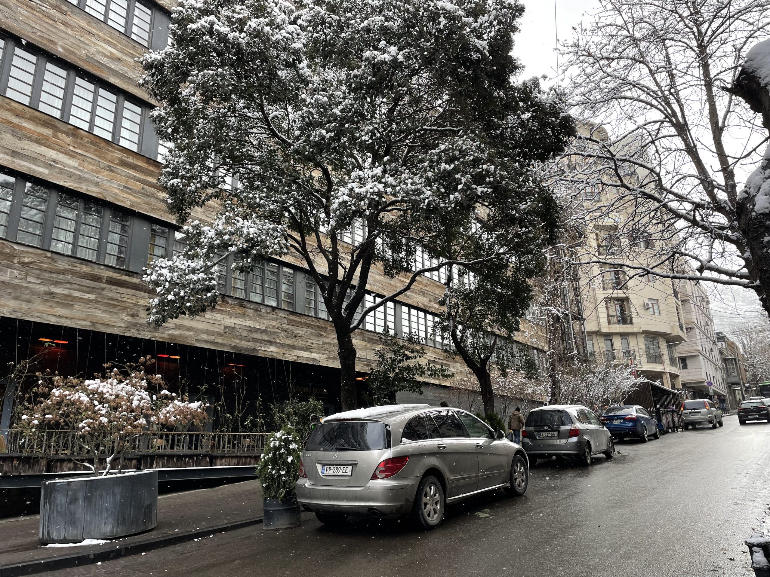 image00003 scaled Другая SOVA featured, погода в Грузии, снег, снегопад, тбилиси
